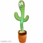 cactus GIF Template