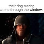 idk | me: walks by neighbor's house; their dog staring at me through the window: | image tagged in memes,dank memes | made w/ Imgflip meme maker