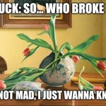 Who broke it? | CHUCK: SO... WHO BROKE IT? I'M NOT MAD, I JUST WANNA KNOW. | image tagged in broken vase dp brown | made w/ Imgflip meme maker