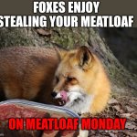 Fox facts