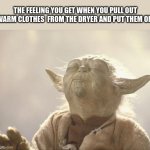 *Satisfaction intensifies* | THE FEELING YOU GET WHEN YOU PULL OUT WARM CLOTHES  FROM THE DRYER AND PUT THEM ON: | image tagged in satisfied yoda,satisfaction,laundry | made w/ Imgflip meme maker