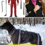 Funny | image tagged in funny | made w/ Imgflip meme maker