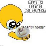 gently hold template | ME WHEN I GET TO HOLD A SNAKE? | image tagged in gently hold template,snake,snakes,cute,cute animals | made w/ Imgflip meme maker