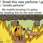 It is so strong | Gf: Smell this new perfume I got; Me: *smells perfume*; My nostrils knowing I’m going to be smelling this for the next month: | image tagged in gifs,this is fine | made w/ Imgflip video-to-gif maker
