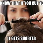 Stylist | DID YOU KNOW THAT IF YOU CUT YOUR HAIR; IT GETS SHORTER | image tagged in stylist | made w/ Imgflip meme maker
