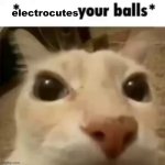 bzzt | electrocutes | image tagged in x your balls | made w/ Imgflip meme maker