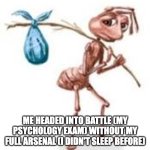 Sad ant with bindle | ME HEADED INTO BATTLE (MY PSYCHOLOGY EXAM) WITHOUT MY FULL ARSENAL (I DIDN'T SLEEP BEFORE) | image tagged in sad ant with bindle | made w/ Imgflip meme maker