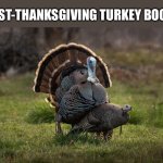 Post Thanksgiving | POST-THANKSGIVING TURKEY BOOM | image tagged in post-thanksgiving boom | made w/ Imgflip meme maker