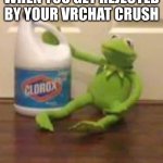 Nobody: VRChat | WHEN YOU GET REJECTED BY YOUR VRCHAT CRUSH | image tagged in kermit bleach,vr,vrchat,crush,dark humor,bleach | made w/ Imgflip meme maker