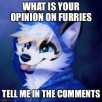 Furry Blep! | WHAT IS YOUR OPINION ON FURRIES; TELL ME IN THE COMMENTS | image tagged in furry blep | made w/ Imgflip meme maker