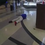 Mall Police shooting two dead JPP