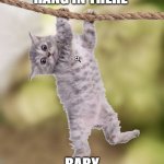 Hanging cat | HANG IN THERE; BABY | image tagged in hanging cat | made w/ Imgflip meme maker