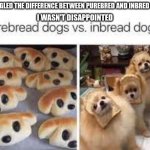 Purebread and Inbread dogs | I GOOGLED THE DIFFERENCE BETWEEN PUREBRED AND INBRED DOGS; I WASN'T DISAPPOINTED | image tagged in purebread and inbread dogs | made w/ Imgflip meme maker