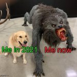 Good dog scary dog | Me now; Me in 2021 | image tagged in good dog scary dog | made w/ Imgflip meme maker