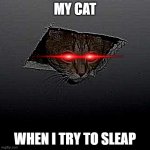 Ceiling Cat | MY CAT; WHEN I TRY TO SLEAP | image tagged in memes,ceiling cat | made w/ Imgflip meme maker