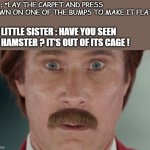 (。_。) | ME : *LAY THE CARPET AND PRESS DOWN ON ONE OF THE BUMPS TO MAKE IT FLAT*; MY LITTLE SISTER : HAVE YOU SEEN MY HAMSTER ? IT'S OUT OF ITS CAGE ! | image tagged in will ferrell oh shit | made w/ Imgflip meme maker