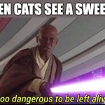 Begun the sweeper wars have. | WHEN CATS SEE A SWEEPER | image tagged in he's too dangerous to be left alive | made w/ Imgflip meme maker