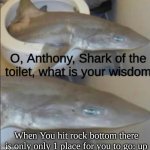 Anthony, Shark of the Toilet | When You hit rock bottom there is only only 1 place for you to go: up | image tagged in anthony shark of the toilet | made w/ Imgflip meme maker
