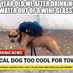yes | 7 YEAR OLD ME AFTER DRINKING WATER OUT OF A WINE GLASS: | image tagged in local dog too cool for town | made w/ Imgflip meme maker