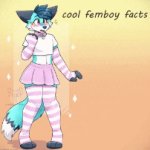 cool femboy facts template