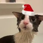 marcominter2010@gmail.com