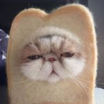 Cat in a bread template