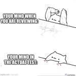Its exam week so why dont i make memes bout the currebr situation? | YOUR MIND WHEN YOU ARE REVIEWING:; YOUR MIND IN THE ACTUAL TEST: | image tagged in bongo cat strong | made w/ Imgflip meme maker