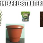 The pineapple top to plant starter pack | THE PINEAPPLE STARTER PACK | image tagged in starter pack | made w/ Imgflip meme maker