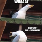 Aaaaaaaaaaaaaaaaaaaaaaa | POV THE TEACHER CATCH U ON IMGFLIP; WHAAAT; THAT’S NOT THE SCHOOLWORK; MEET YOUR END | image tagged in memes,inhaling seagull,school,pov | made w/ Imgflip meme maker