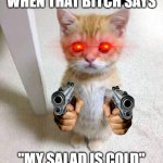 I am angey | WHEN THAT BITCH SAYS; "MY SALAD IS COLD" | image tagged in memes,cute cat | made w/ Imgflip meme maker