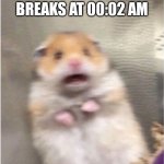 AAAAAAAAAAAAAAAAAAAAAAAAAAAAAAA | POV: YOUR PICKAXE BREAKS AT 00:02 AM | image tagged in scared hamster,memes,minecraft,midnight | made w/ Imgflip meme maker