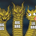 siblings be like: | BIG BRO; LIL BRO; BIG SIS | image tagged in three-headed dragon | made w/ Imgflip meme maker