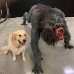 nice dog with werewolf template