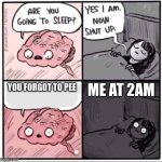 Are you going to sleep? | ME AT 2AM; YOU FORGOT TO PEE | image tagged in are you going to sleep | made w/ Imgflip meme maker