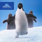 disneycember: disney nature's penguins