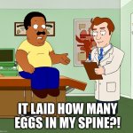 Should have taken an acid bath | IT LAID HOW MANY EGGS IN MY SPINE?! | image tagged in cleveland,memes,doctor and patient,bad news,parasites | made w/ Imgflip meme maker