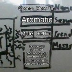 I think that I could post like that, but I'm not sure... | Coonor_More-Tin; Aromatic; Male; He/Him; Do you get points for captioning your own meme? Or even posting in your own streams? | image tagged in cmt's cool template,hmmmmmmm,fresh memes,think about it,meh | made w/ Imgflip meme maker