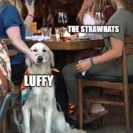 daily life of Sanji | SANJI; THE STRAWHATS; LUFFY | image tagged in lady holds dogs mouth shut | made w/ Imgflip meme maker