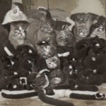 wow those are really cute cats! but squint your eyes | image tagged in wow those are really cute cats but squint your eyes | made w/ Imgflip meme maker