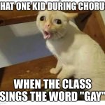 bro it means happy | THAT ONE KID DURING CHORUS; WHEN THE CLASS SINGS THE WORD "GAY" | image tagged in coughing cat | made w/ Imgflip meme maker