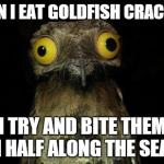 weird stuff i do pootoo | WHEN I EAT GOLDFISH CRACKERS I TRY AND BITE THEM IN HALF ALONG THE SEAM | image tagged in weird stuff i do pootoo | made w/ Imgflip meme maker