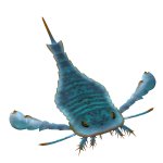 EURYPTERIDS