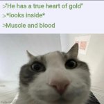 No he doesn't, goofy! | "He has a true heart of gold"; *looks inside*; Muscle and blood | image tagged in cat looks inside | made w/ Imgflip meme maker