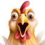 surprised chicken