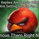 please boost | Your Replies Are Deeply Offensive And Are Setting You Up For A Ban. Remove Them Right Now! | image tagged in realistic angry birds | made w/ Imgflip meme maker