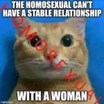 stable | THE HOMOSEXUAL CAN'T HAVE A STABLE RELATIONSHIP; WITH A WOMAN | image tagged in homosexual | made w/ Imgflip meme maker