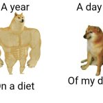 Buff Doge vs. Cheems Meme | A year; A day; Of my diet; On a diet | image tagged in memes,buff doge vs cheems | made w/ Imgflip meme maker