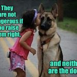 Not dangerous | They are not dangerous if you raise them right, and neither are the dogs. | image tagged in girl and dog,not dangerous,raise them right,neither are the dogs,fun | made w/ Imgflip meme maker