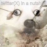 X | twitter(X) in a nutshell | image tagged in ptsd dog | made w/ Imgflip meme maker