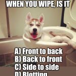 This question is for guys, everybody knows girls don't poop | I'M TAKING A POLL: WHEN YOU WIPE, IS IT; A) Front to back
B) Back to front
C) Side to side
D) Blotting | image tagged in dog in toilet | made w/ Imgflip meme maker